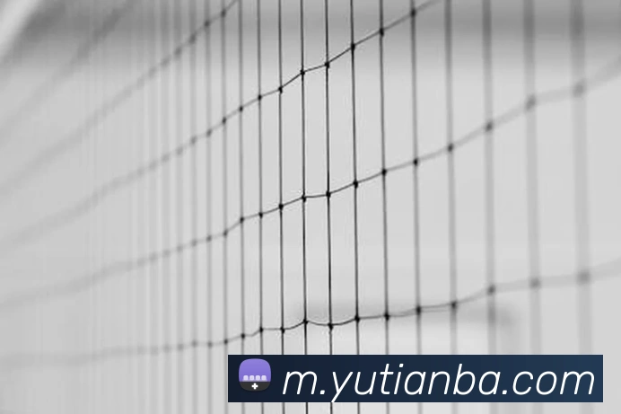 nba投注网站全站App